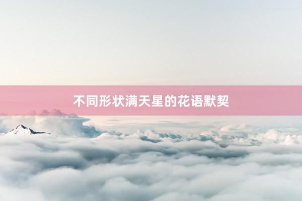 不同形状满天星的花语默契