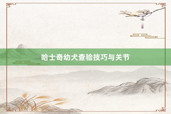哈士奇幼犬查验技巧与关节