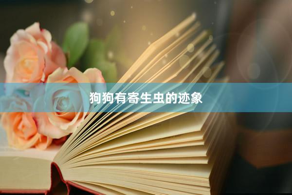 狗狗有寄生虫的迹象